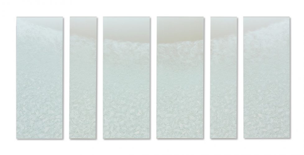 Smithsonian American Art Museum Acquisition