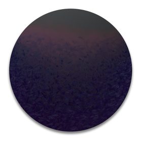 NicoleChesney_Lune_2025_01